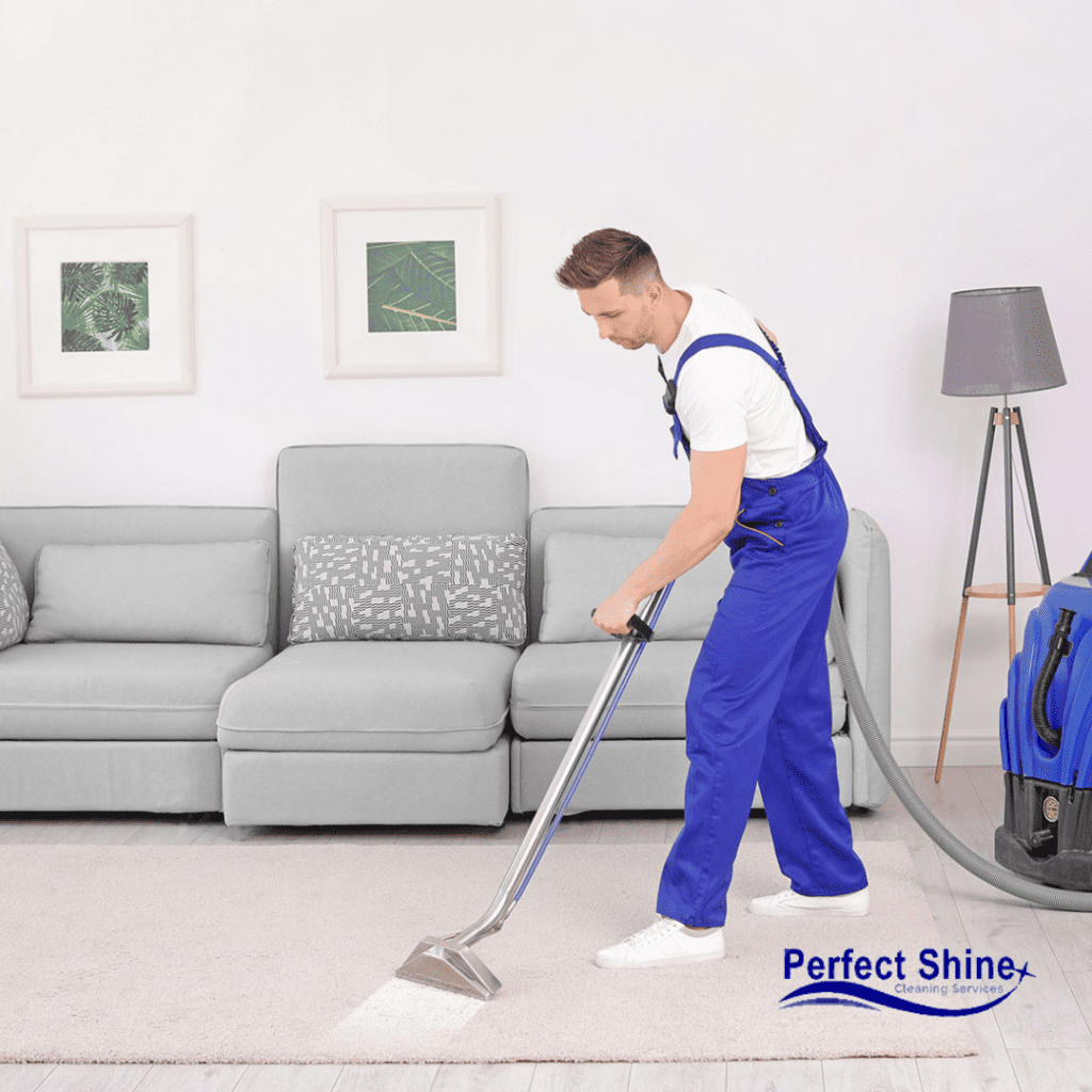 Sofa and Carpet Maintenance