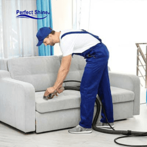 Sofa and Carpet Maintenance