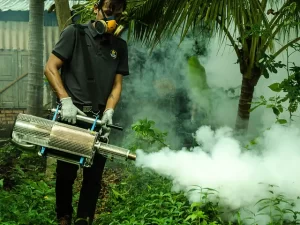 pest control service provider