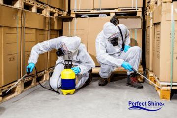 Pest Control Services near Uttam Nagar