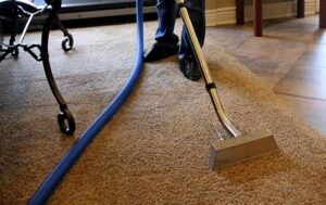 Professional Carpet Cleaning Services