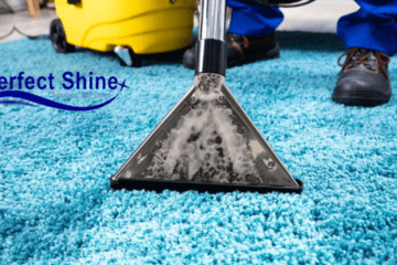 carpet cleaning services
