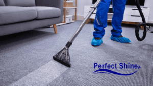 professional carpet cleaning near me