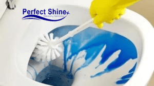 Professional Bathroom deep cleaning Services