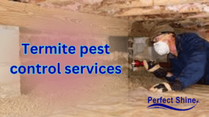 Termite pest control services