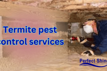 Termite pest control services
